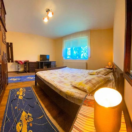 Casa Popa Otel Cîrţişoara Dış mekan fotoğraf