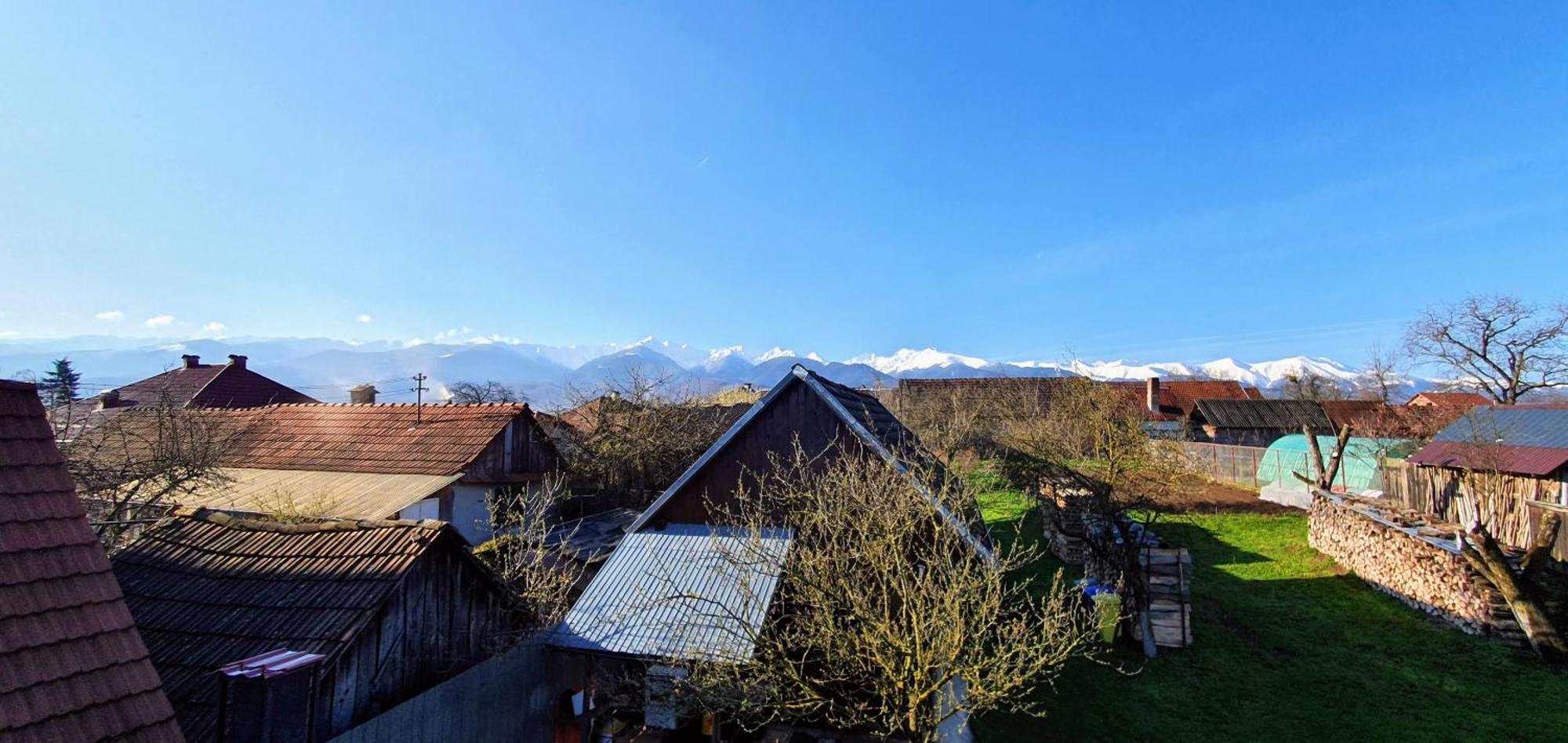 Casa Popa Otel Cîrţişoara Dış mekan fotoğraf