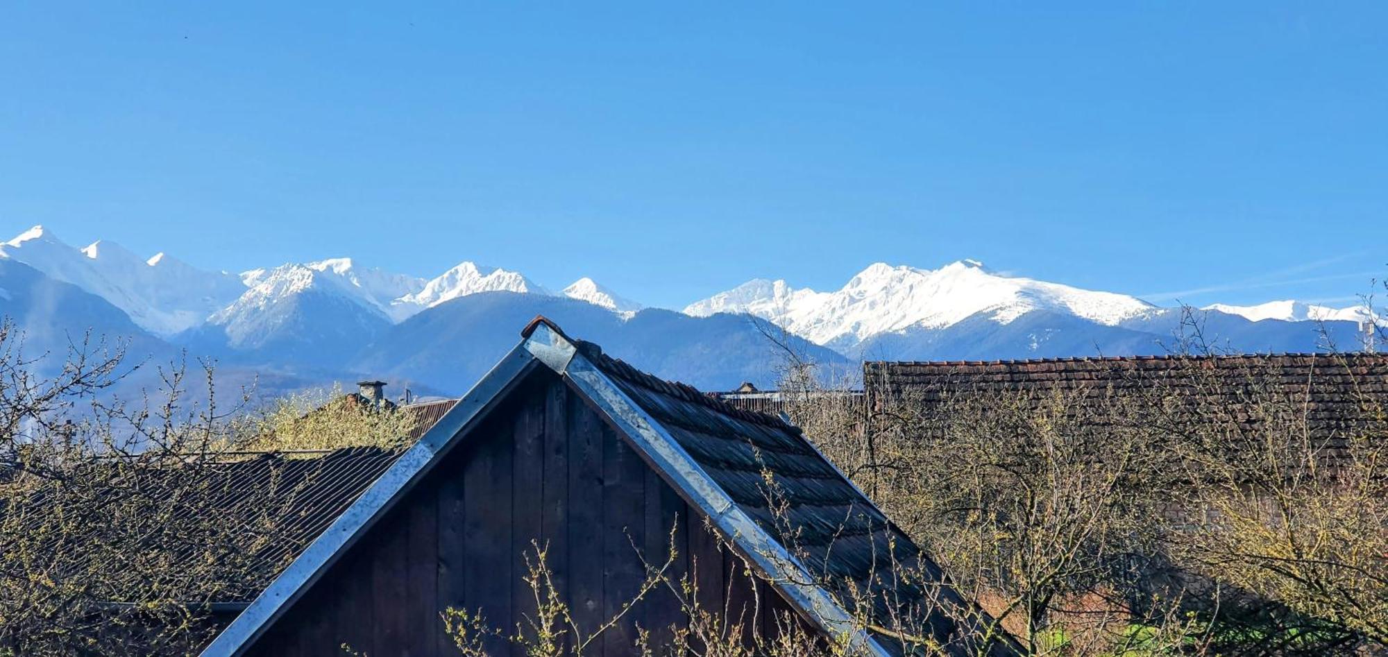 Casa Popa Otel Cîrţişoara Dış mekan fotoğraf